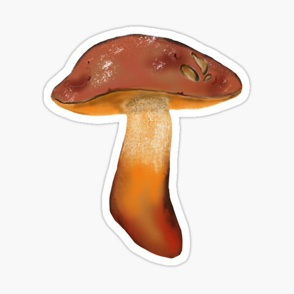 Item preview, Attractive boletus designed and sold by Anydem.