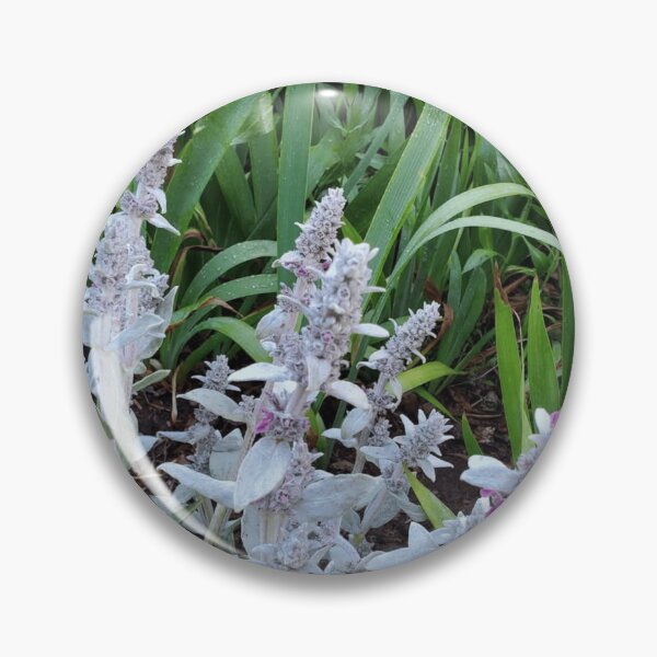 Item preview, Floral - Lambs Ear by Wagonesta  designed and sold by Wagonesta.