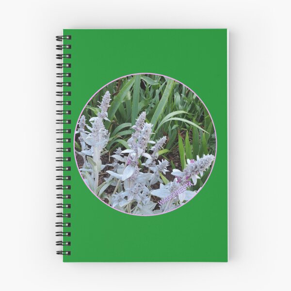 Item preview, Floral - Lambs Ear by Wagonesta  designed and sold by Wagonesta.