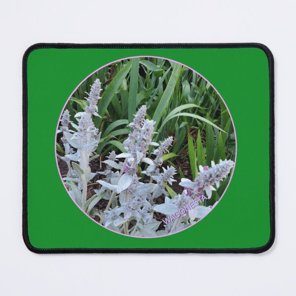 Item preview, Floral - Lambs Ear by Wagonesta designed and sold by Wagonesta.