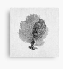 Sea Fan Coral Schwarz-Weiß-Illustration nautischen Natur Dekor Metalldruck