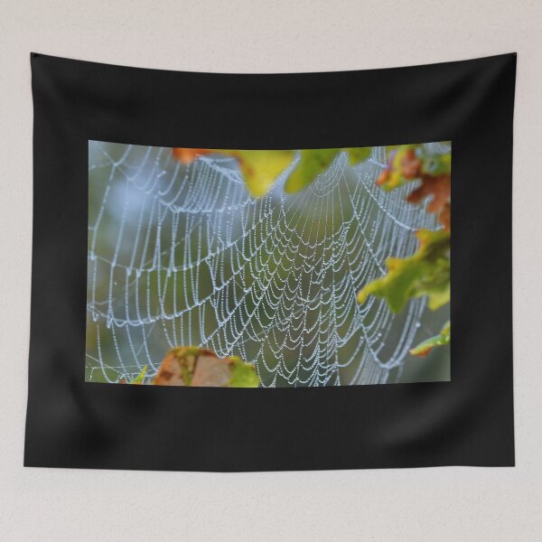 Item preview, Spiderweb in the bushes designed and sold by relayer51.
