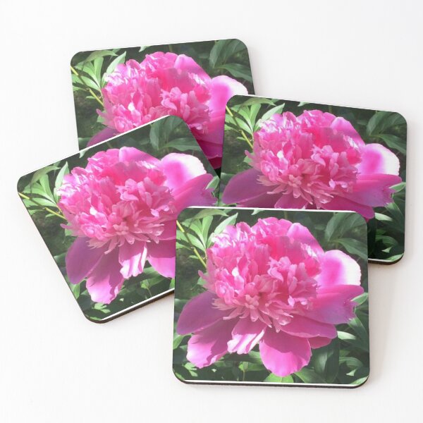 Item preview, Pink Peony Bloom – Vibrant Garden Flower Close-Up Photography designed and sold by larissa-myrie.
