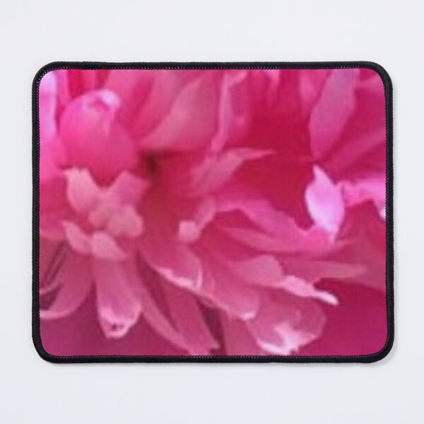 Item preview, Pink Peony Bloom – Vibrant Garden Flower Close-Up Photography designed and sold by larissa-myrie.