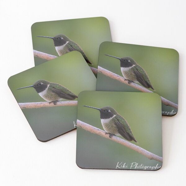 Item preview, Hummingbird Art Nature Lover Wildlife Enthusiast Tee designed and sold by kaltoumkiki.