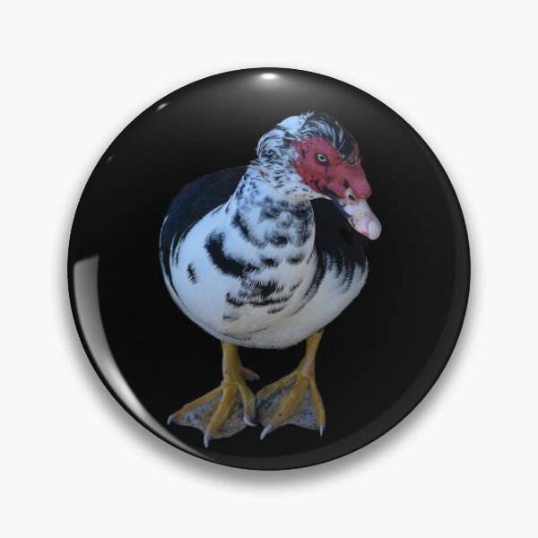 Item preview, Ugly Muscovy Duck designed and sold by Yolanda Caporn Art.