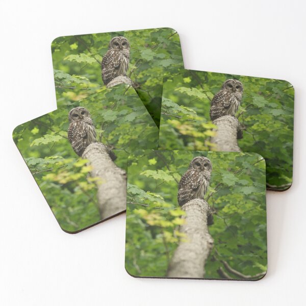 Item preview, Picture Perfect designed and sold by locustgirl.