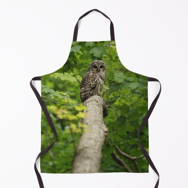 Item preview, Picture Perfect designed and sold by locustgirl.