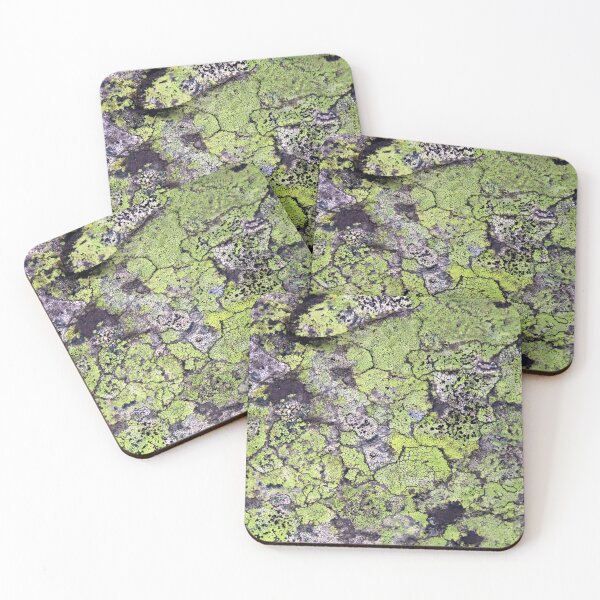 Item preview, lichen designed and sold by KathleenDawson.