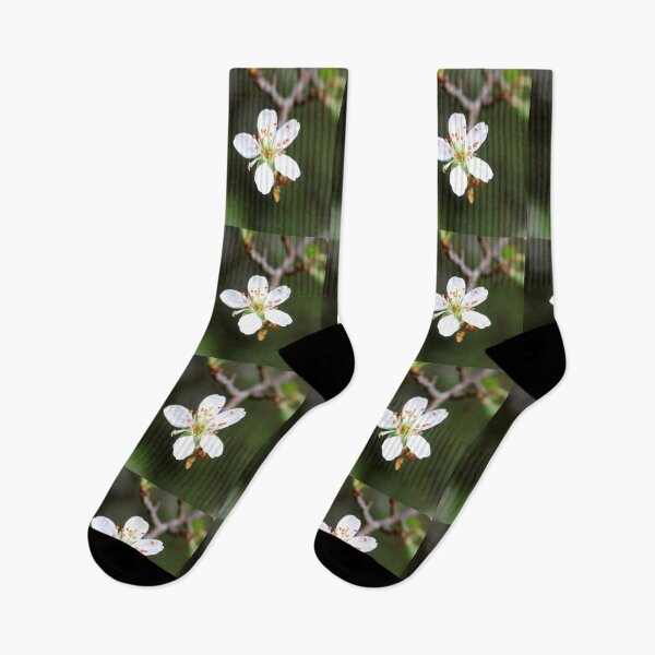 Item preview, blossom designed and sold by KathleenDawson.