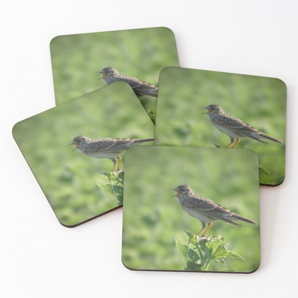 Item preview, Singing Skylark on a Summer Field designed and sold by tothkataphoto.