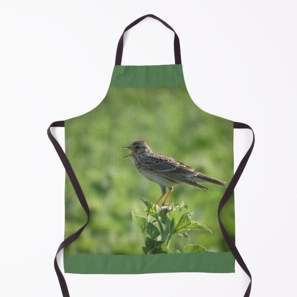 Item preview, Singing Skylark on a Summer Field designed and sold by tothkataphoto.