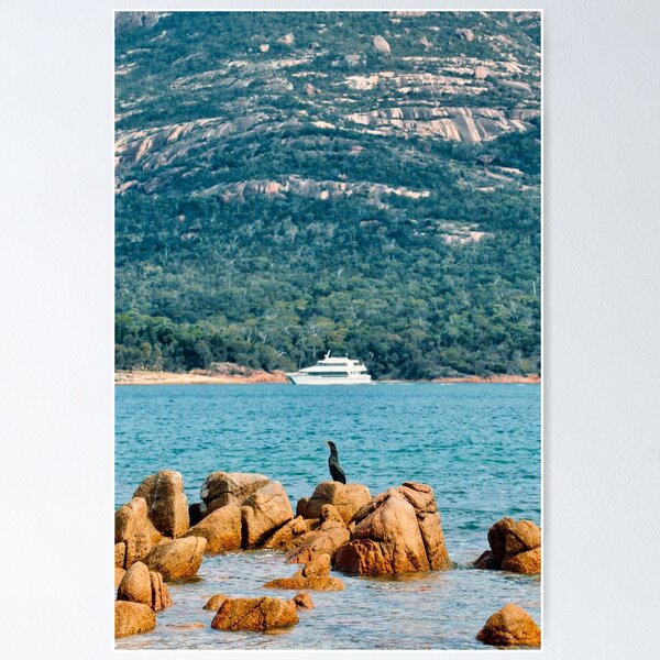 Item preview, Bird & Boat designed and sold by mwphotographyau.