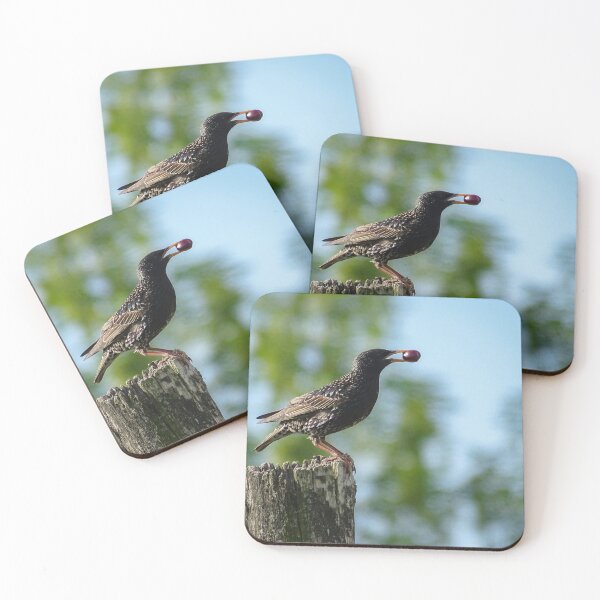 Item preview, Starling with a Berry on a Rustic Stump designed and sold by tothkataphoto.