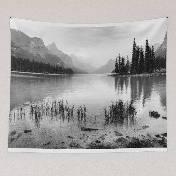 Item preview, Spirit Island monotone serenity designed and sold by hawkie.
