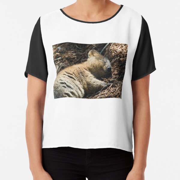 Chiffon Top