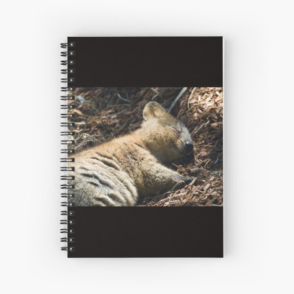 Spiral Notebook