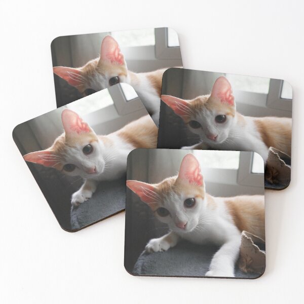 Item preview, Baby Cat designed and sold by Maywtn41.
