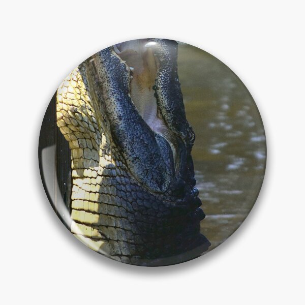 Item preview, Alligator Teasing  designed and sold by MercerImages.