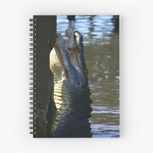 Item preview, Alligator Teasing  designed and sold by MercerImages.