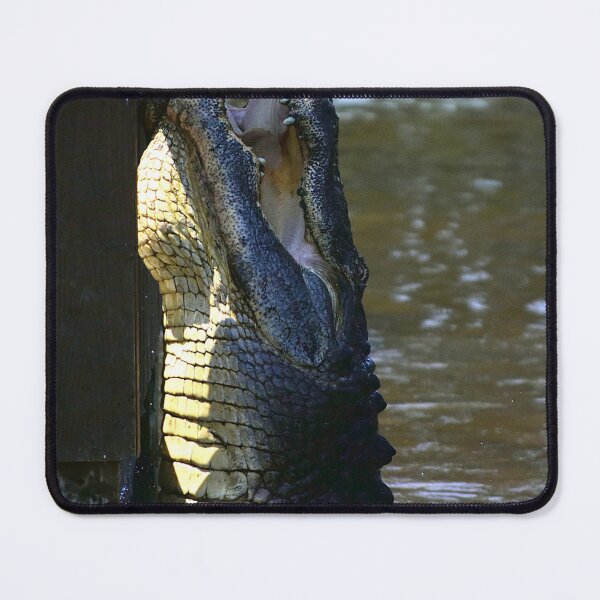 Item preview, Alligator Teasing  designed and sold by MercerImages.