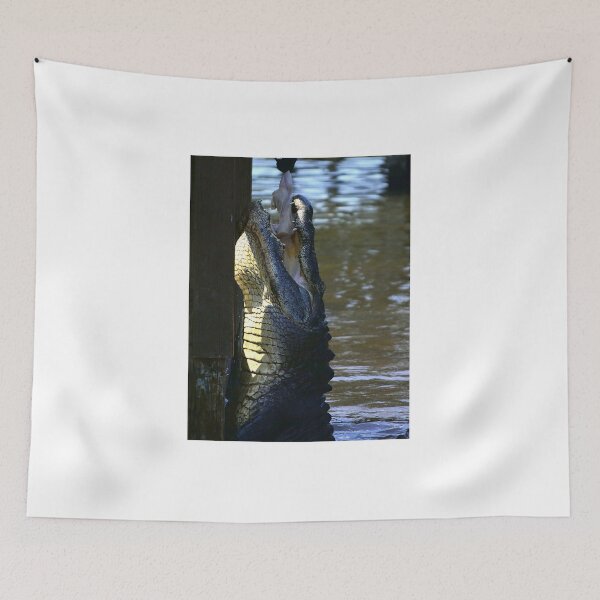 Item preview, Alligator Teasing  designed and sold by MercerImages.