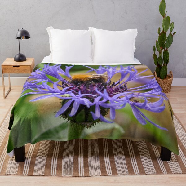 Item preview, Sweet lover. Mountain bluet and Common Carder Bee designed and sold by Jouko Lehto Photography.