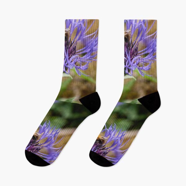 Item preview, Sweet lover. Mountain bluet and Common Carder Bee designed and sold by Jouko Lehto Photography.
