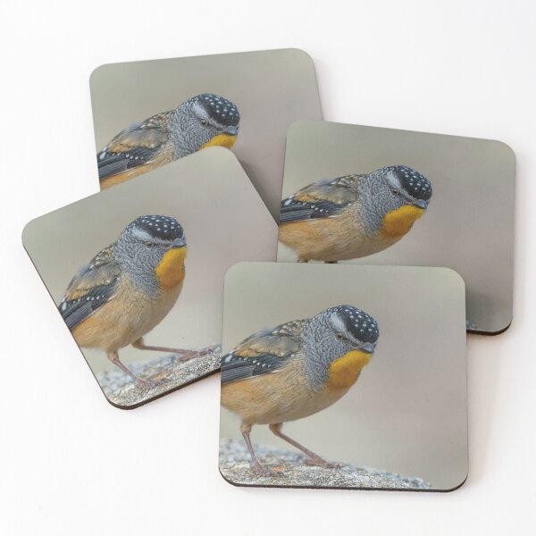 Item preview, Male Spotted Pardalote designed and sold by Nick Vertsonis.
