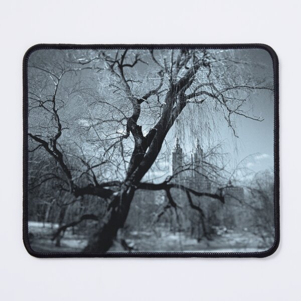 Item preview, Winter in Central Park designed and sold by David Bowman.