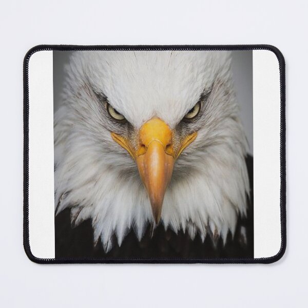 Item preview, Eagle symbol of freedom designed and sold by dolchee044.
