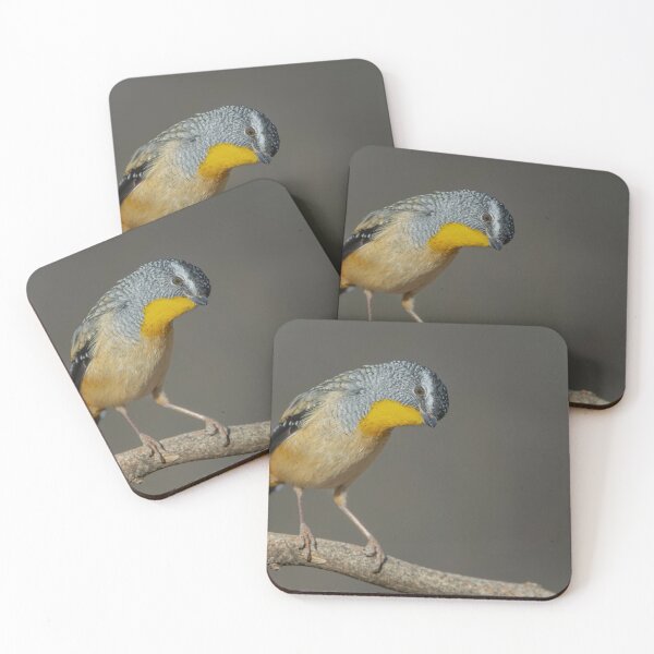 Item preview, Male Spotted Pardalote designed and sold by Nick Vertsonis.
