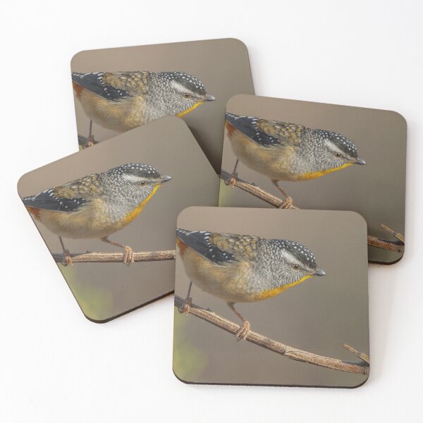 Item preview, Male Spotted Pardalote designed and sold by Nick Vertsonis.