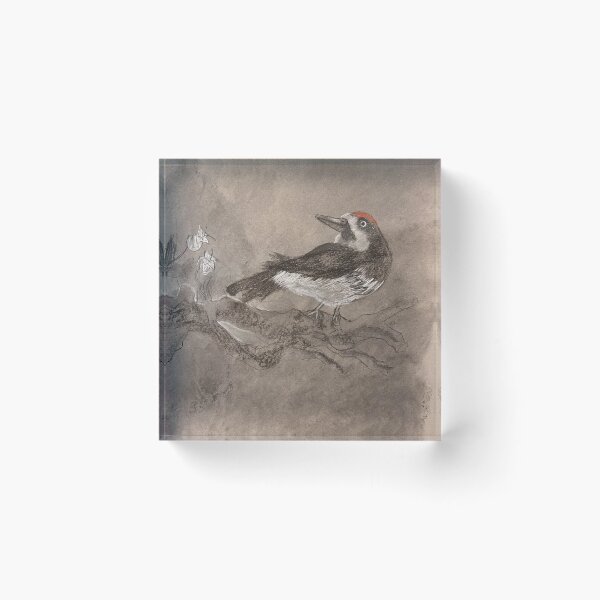 Item preview, Acorn Woodpecker Background designed and sold by BirdsofBurbs.