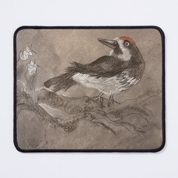 Item preview, Acorn Woodpecker Background designed and sold by BirdsofBurbs.