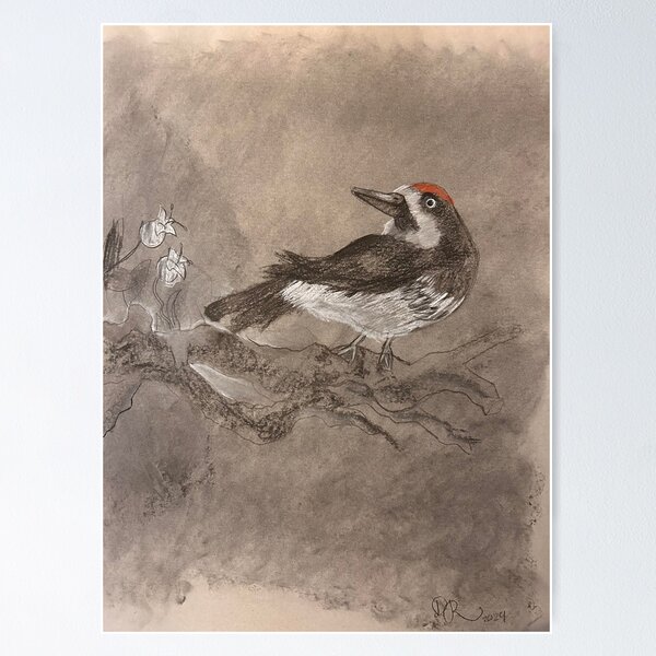 Item preview, Acorn Woodpecker Background designed and sold by BirdsofBurbs.