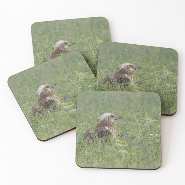 Item preview, Marsh Harrier in the Meadow designed and sold by tothkataphoto.