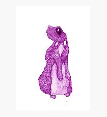 PINK BUNNY Photographic Print