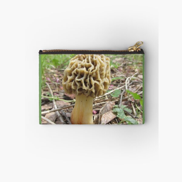 Item preview, Morel Mushroom ~ designed and sold by Ginny York.