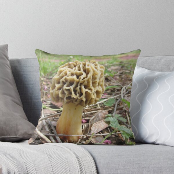 Item preview, Morel Mushroom ~ designed and sold by Ginny York.
