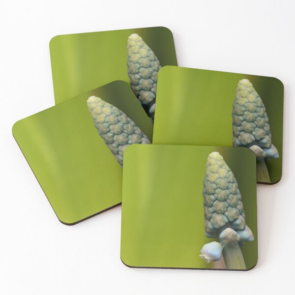 Item preview, Grape Hyacinth Macro – Geometric Nature designed and sold by Goiko7Margarita.