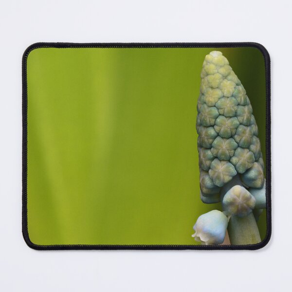 Item preview, Grape Hyacinth Macro – Geometric Nature designed and sold by Goiko7Margarita.