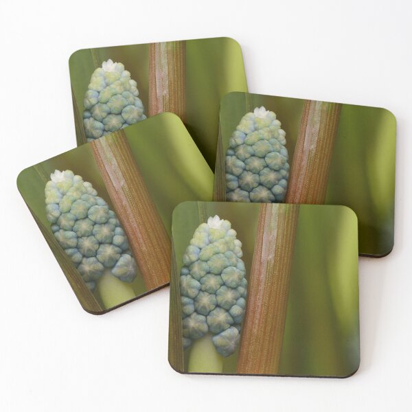 Item preview, Grape Hyacinth Macro – Geometric Nature designed and sold by Goiko7Margarita.