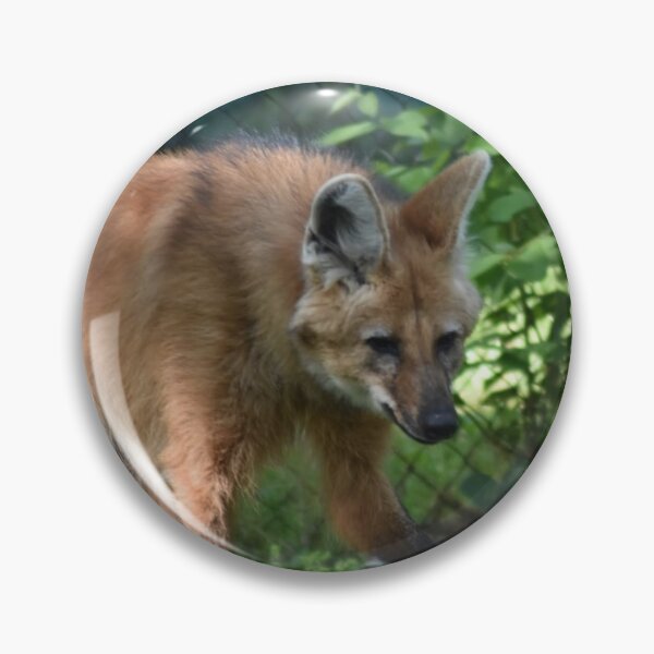 Item preview, Maned Wolf designed and sold by MarieDarcy97.