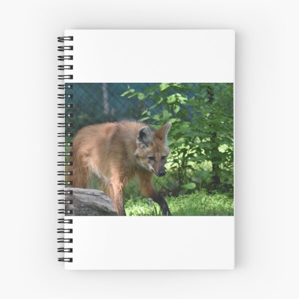 Item preview, Maned Wolf designed and sold by MarieDarcy97.
