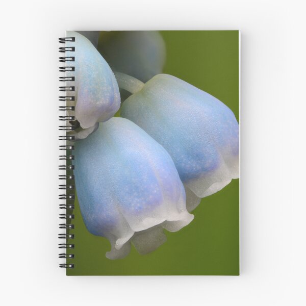 Item preview, Muscari Bloom – Pattern of Spring Blue flowers designed and sold by Goiko7Margarita.