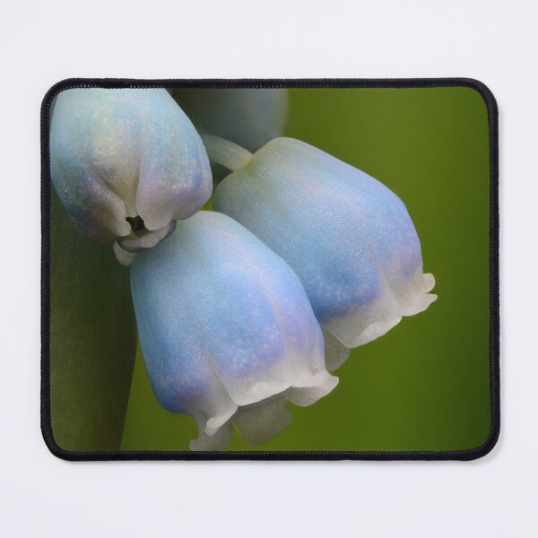 Item preview, Muscari Bloom – Pattern of Spring Blue flowers designed and sold by Goiko7Margarita.