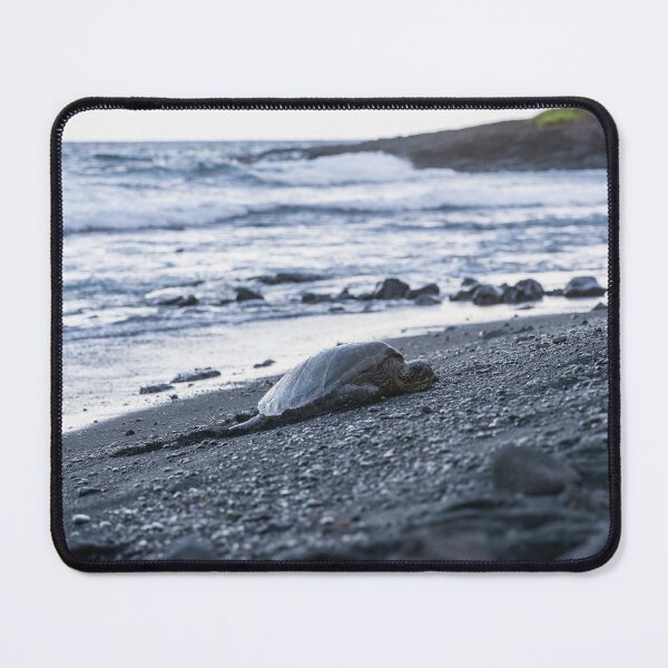 Item preview, Sea Turtle on Black Sand Beach designed and sold by Bionic Images.