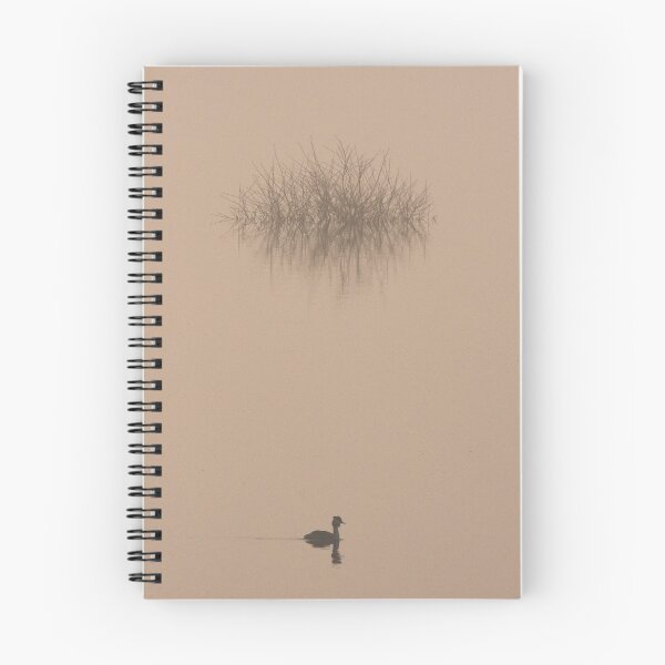 Item preview, Grebe in the first light designed and sold by Yves Roumazeilles (Wild Focus).