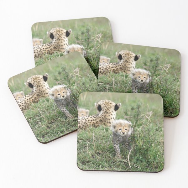Item preview, The first hunt designed and sold by Yves Roumazeilles (Wild Focus).